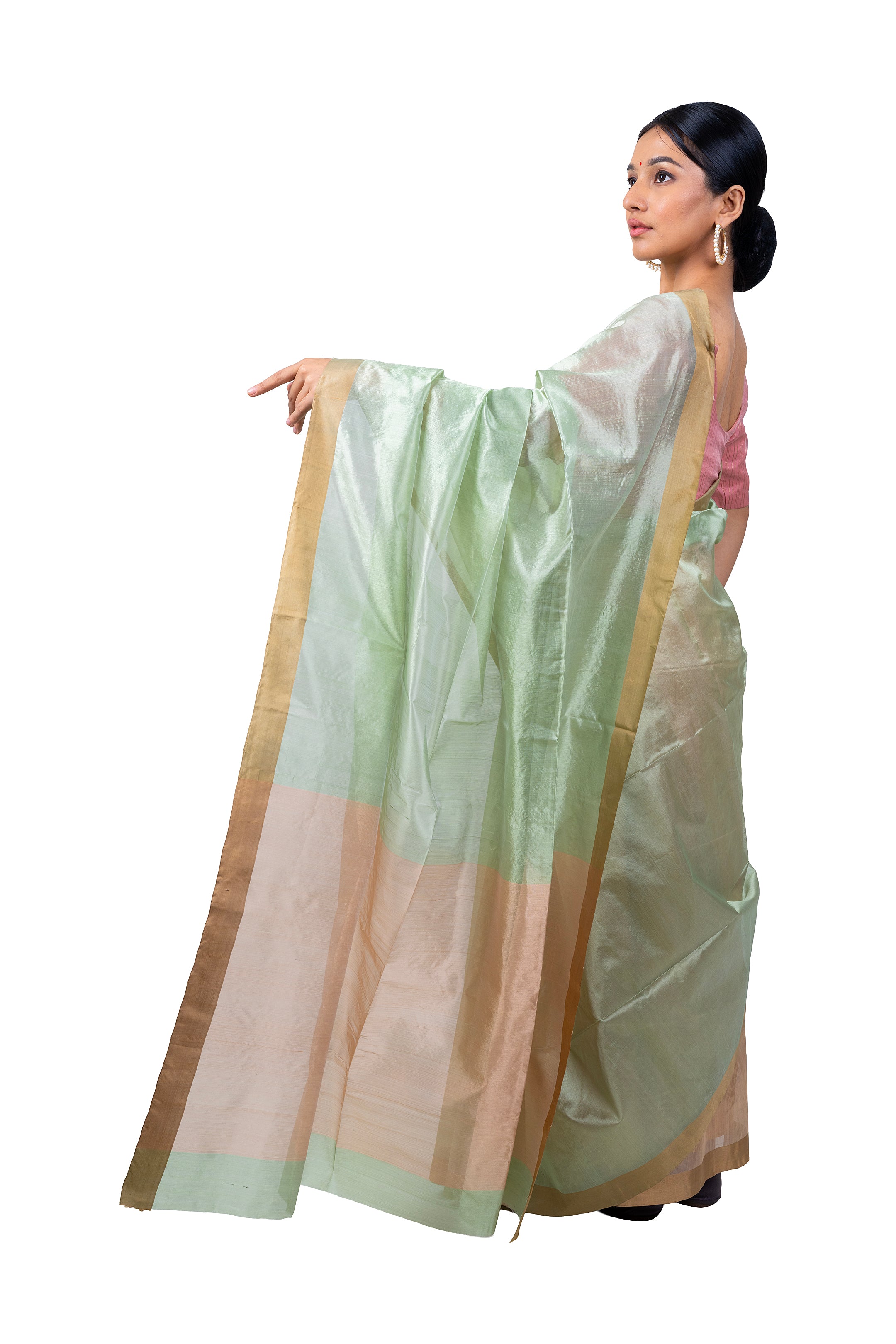 Woman wearing a light green saree with a white blouse on a white background